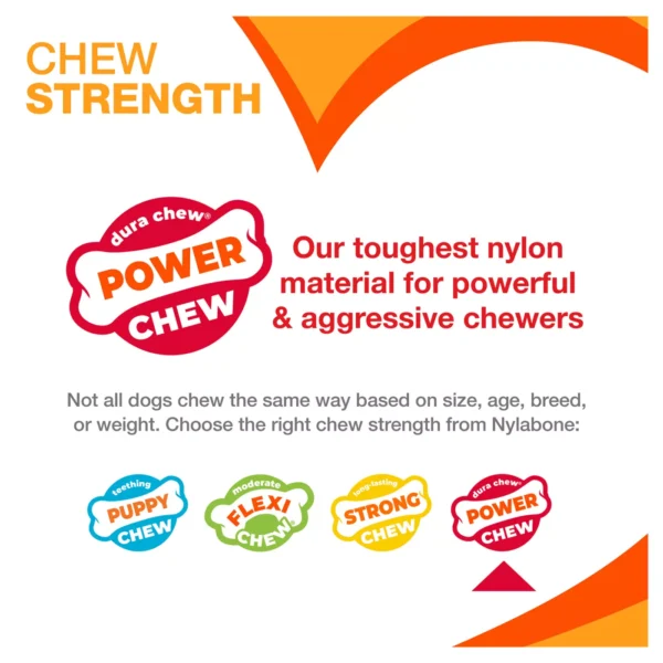 Nylabone® DuraChew® Bone Chew Dog Toy - Image 4