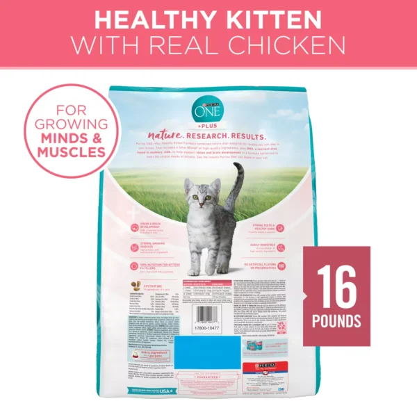 Purina ONE® +Plus Healthy Kitten Dry Cat Food - Chicken, High-Protein, Natural - Image 3