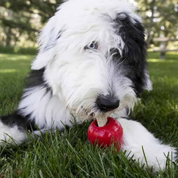 KONG® Ziggies™Dog Treat - Image 5