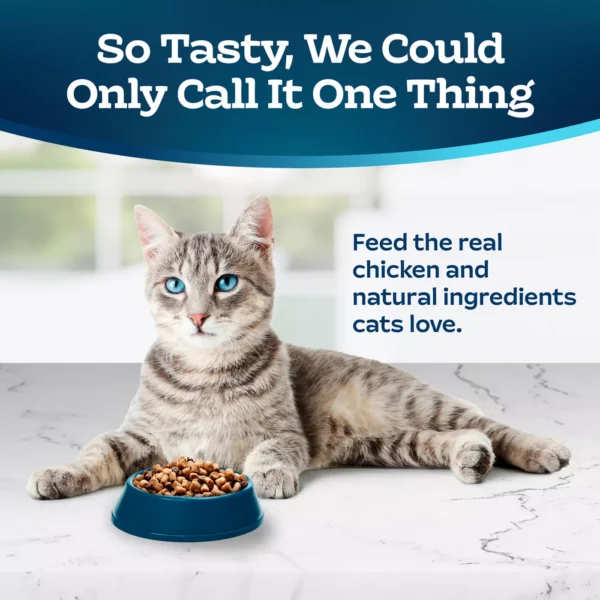 Blue Buffalo® Tastefuls™ Sensitive Stomach Adult Dry Cat Food - Natural, Chicken - Image 4