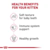 5237138alt4 Cat Food