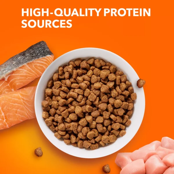 IAMS™ Proactive Health Adult Dry Cat Food - Healthy Adult, Salmon & Tuna - Image 7