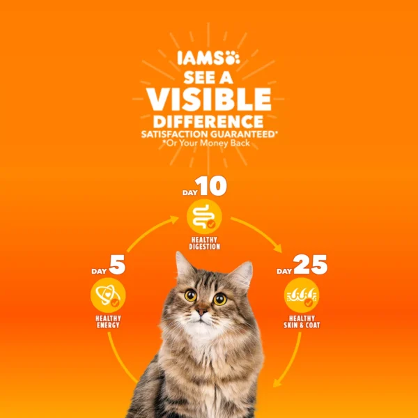 IAMS™ Proactive Health Adult Dry Cat Food - Sensitive Digestion & Skin, Turkey - Image 4