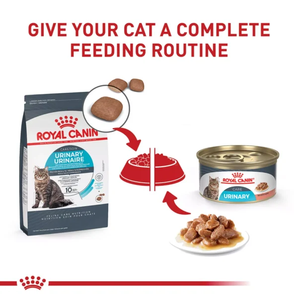 Royal Canin® Feline Care Nutrition Urinary Care Adult Dry Cat Food - Image 7