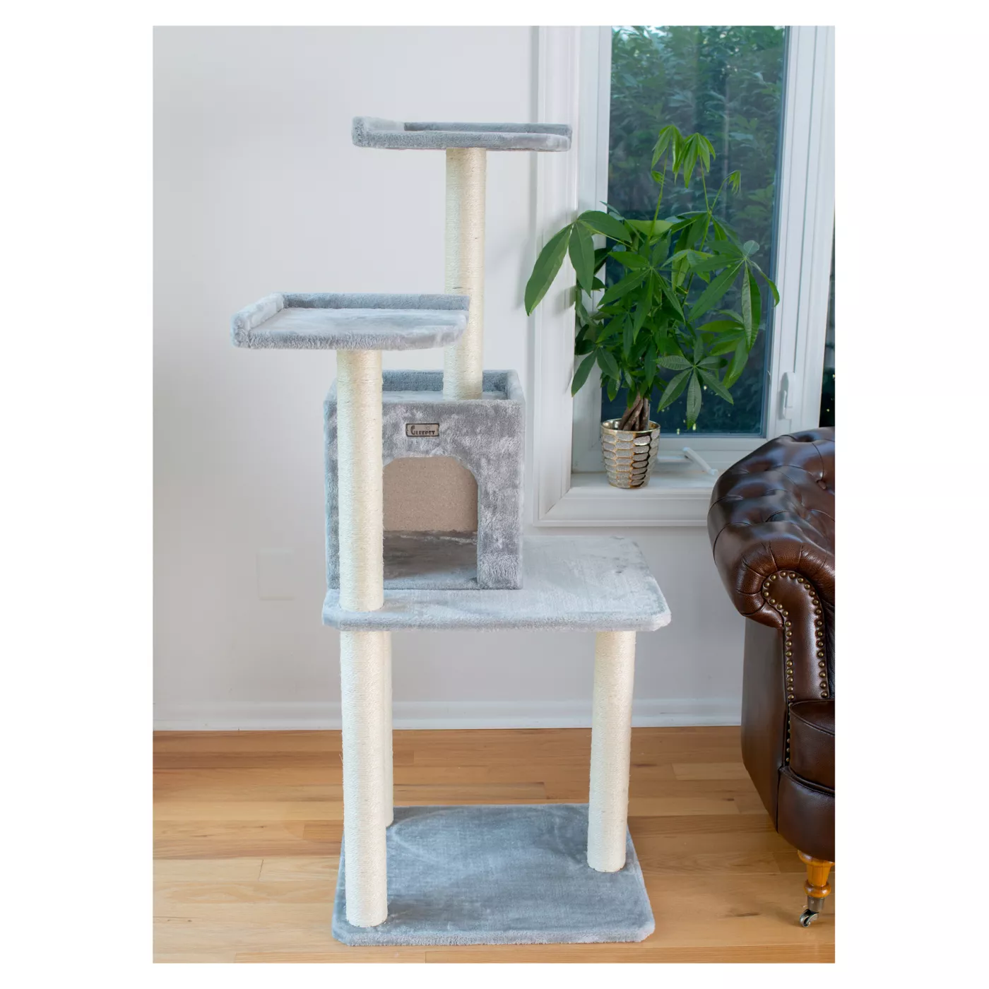 5305387alt2 Cat Food