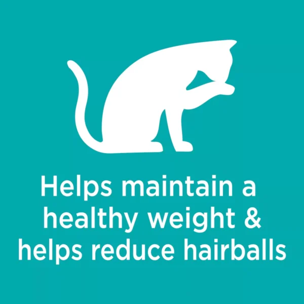 IAMS™ Proactive Health Indoor Adult Dry Cat Food - Weight & Hairball Care, Salmon - Image 3