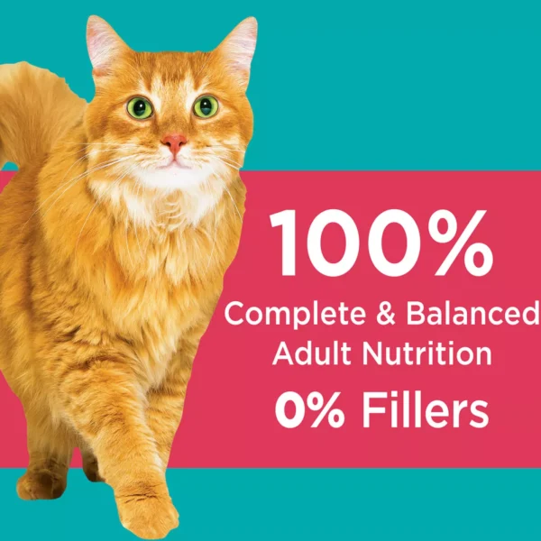 IAMS™ Proactive Health Indoor Adult Dry Cat Food - Weight & Hairball Care, Salmon - Image 4