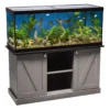 75 gallon aquarium tank