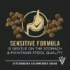 5308567alt2 Cat Food