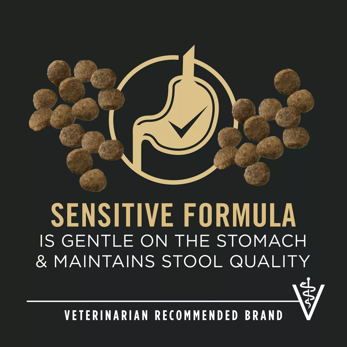 5308567alt2 Cat Food