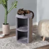 5314307alt1 Cat Food