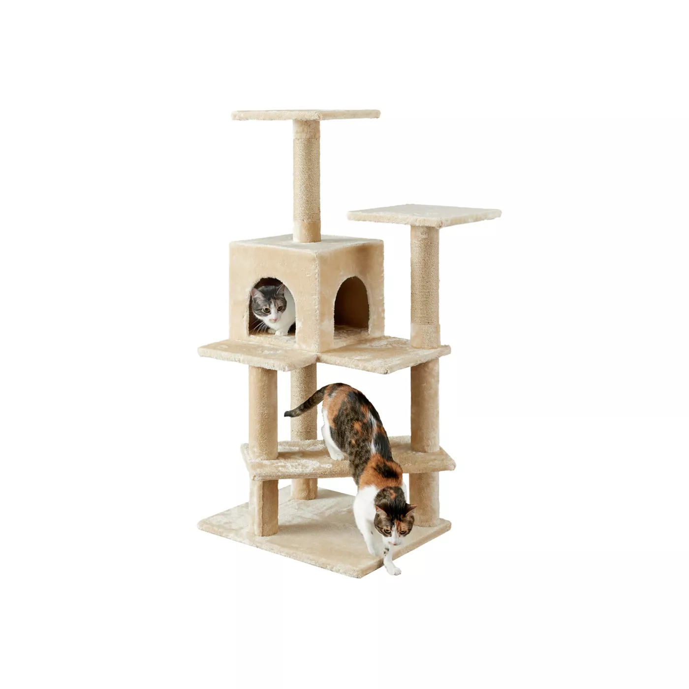 5314311alt1 Cat Food