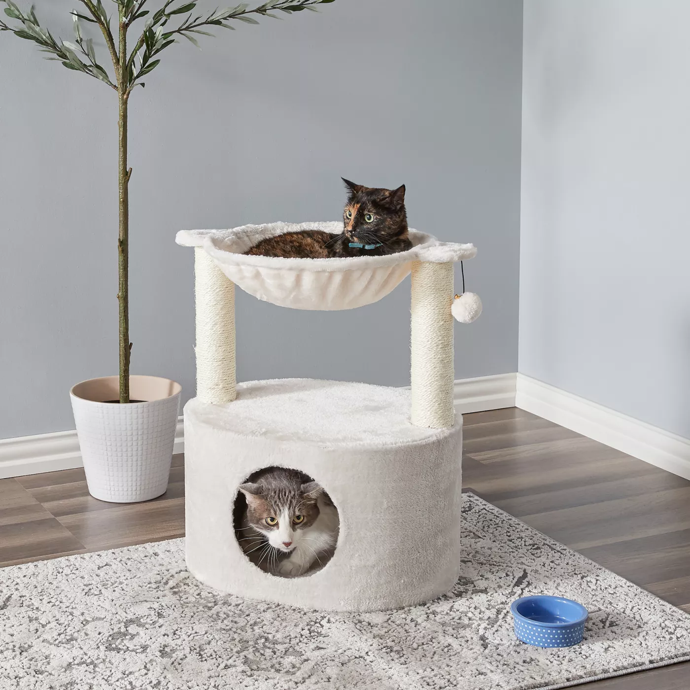 5314333alt3 Cat Food