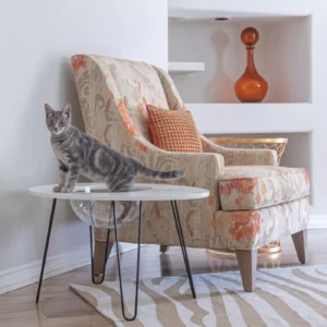 Hauspanther NestEgg Raised Cat Bed & Side Table