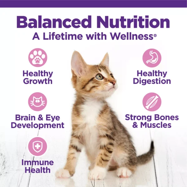 Wellness Complete Health Kitten Dry Cat Food - Chicken, With Grain, Natural - Image 4