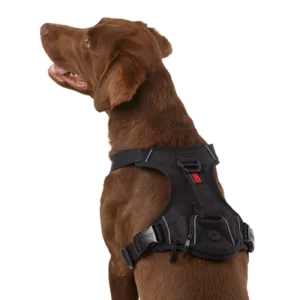 KONG® Reflective Waste Bag Dog Harness