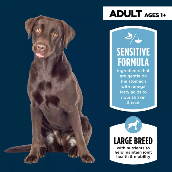 Authority Sensitive Stomach & Skin Large Breed Adult Dog Dry Food - Salmon & Rice - Image 3