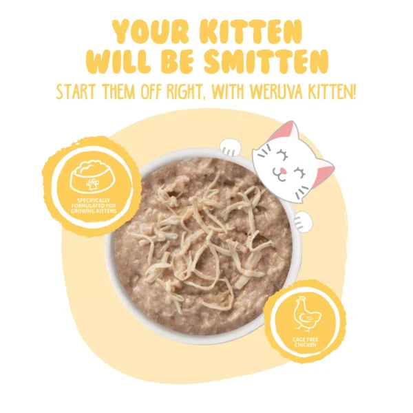 Weruva Kitten Wet Cat Food - 3 oz, Shreds in Au Jus - Image 3