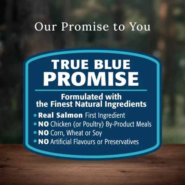 Blue Buffalo® Wilderness™ Adult Dry Dog Food - Natural, High Protein, Wholesome Grains, Salmon - Image 6