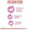 5339759alt4 Cat Food