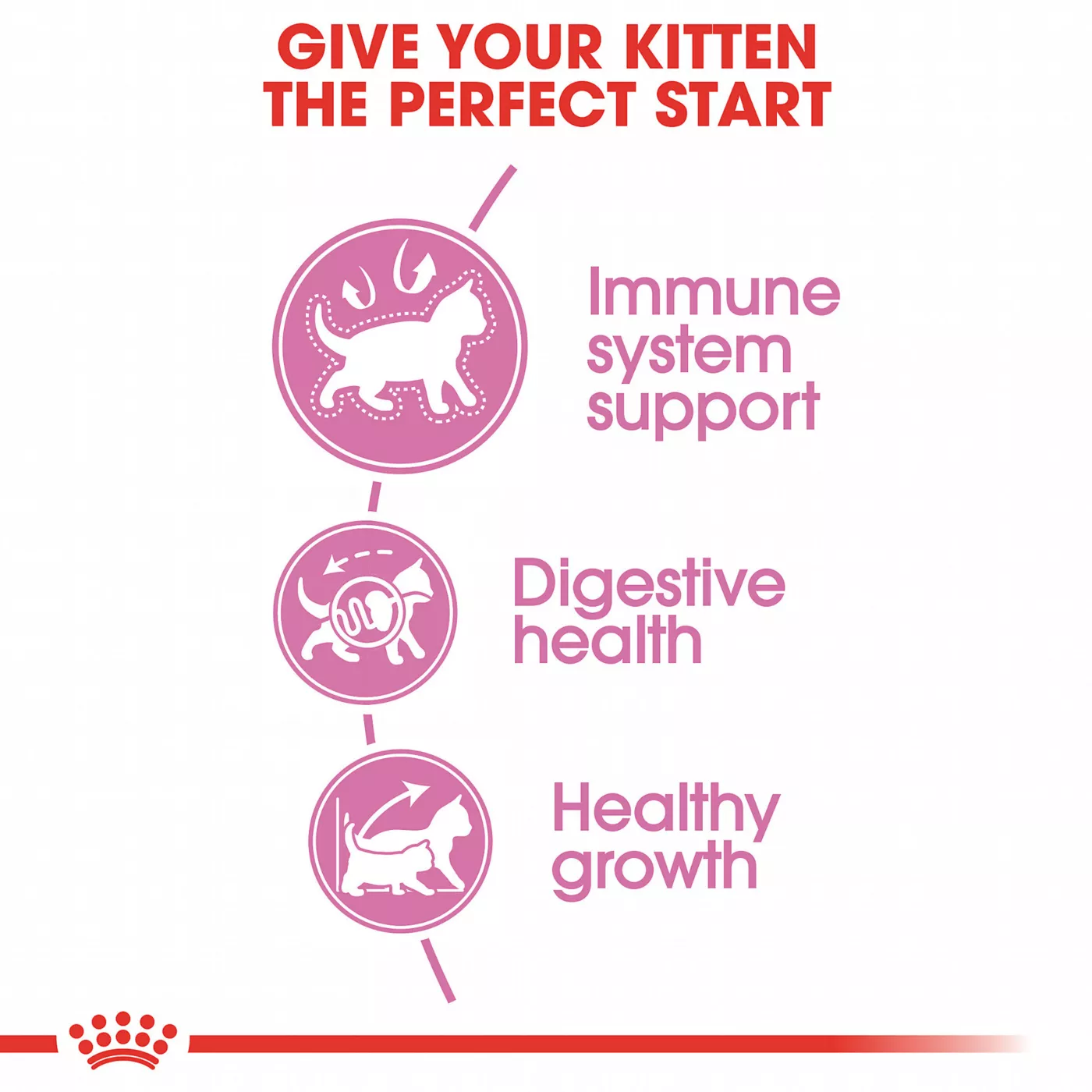 5339759alt4 Cat Food