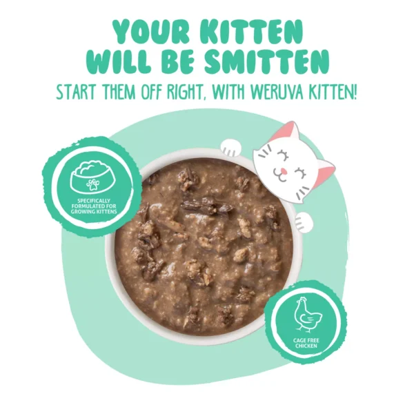 Weruva Kitten Wet Cat Food - 3 oz, Minced in Gravy - Image 3