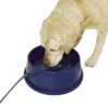 Heated Dog Water Bowl Canada