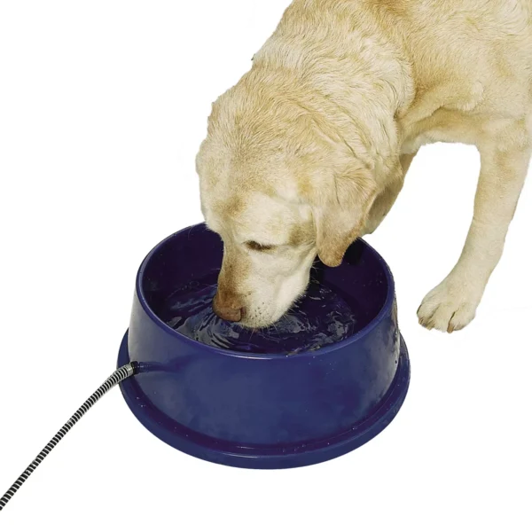 Heated Dog Water Bowl Canada