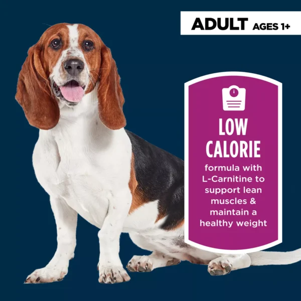 Authority Healthy Weight Adult Dog Dry Food - Chicken & Rice - Image 2