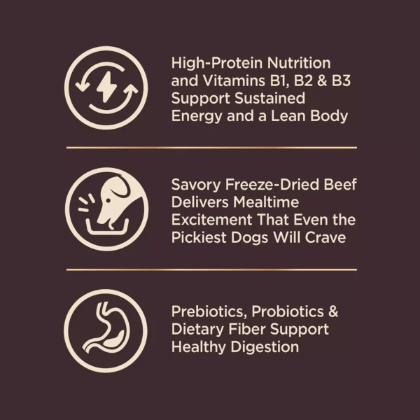 Wellness Core+ High Protein Kibble + Savory Freeze-Dried Pieces - Beef & Barley, Wholesome Grains - Image 5