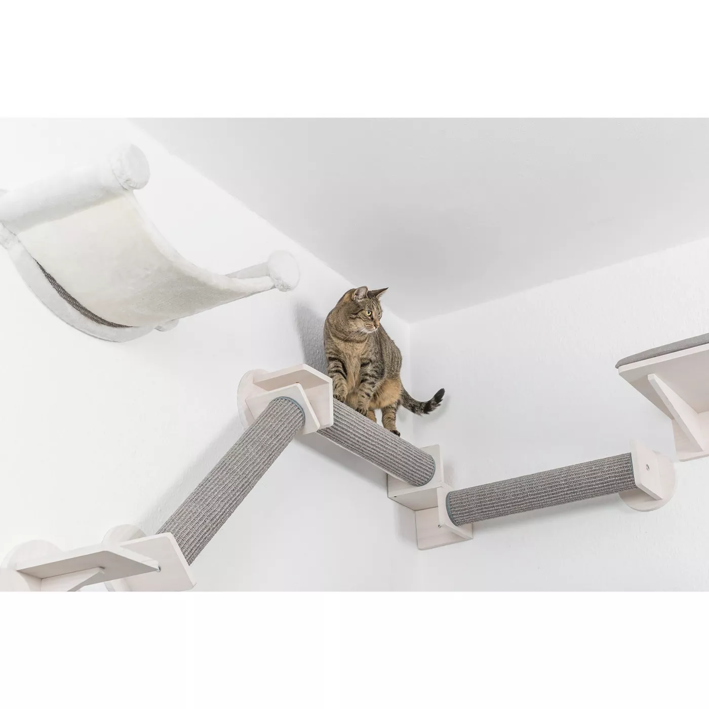 5351304alt1 Cat Food