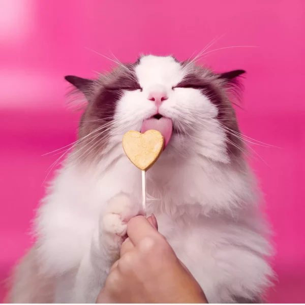 Bonkers Purr Pops Lickable Cat Treats - Lip Smackin' Salmon - Image 3