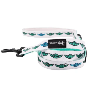 Sassy Woof Where Dogs Are Family Star Wars Dog Leash
