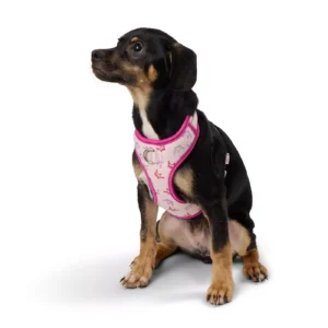 Top Paw Princess Dog Harness