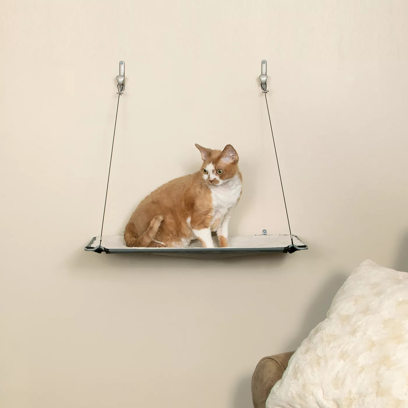 5355029 Cat Food