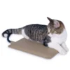 5355122 Cat Food
