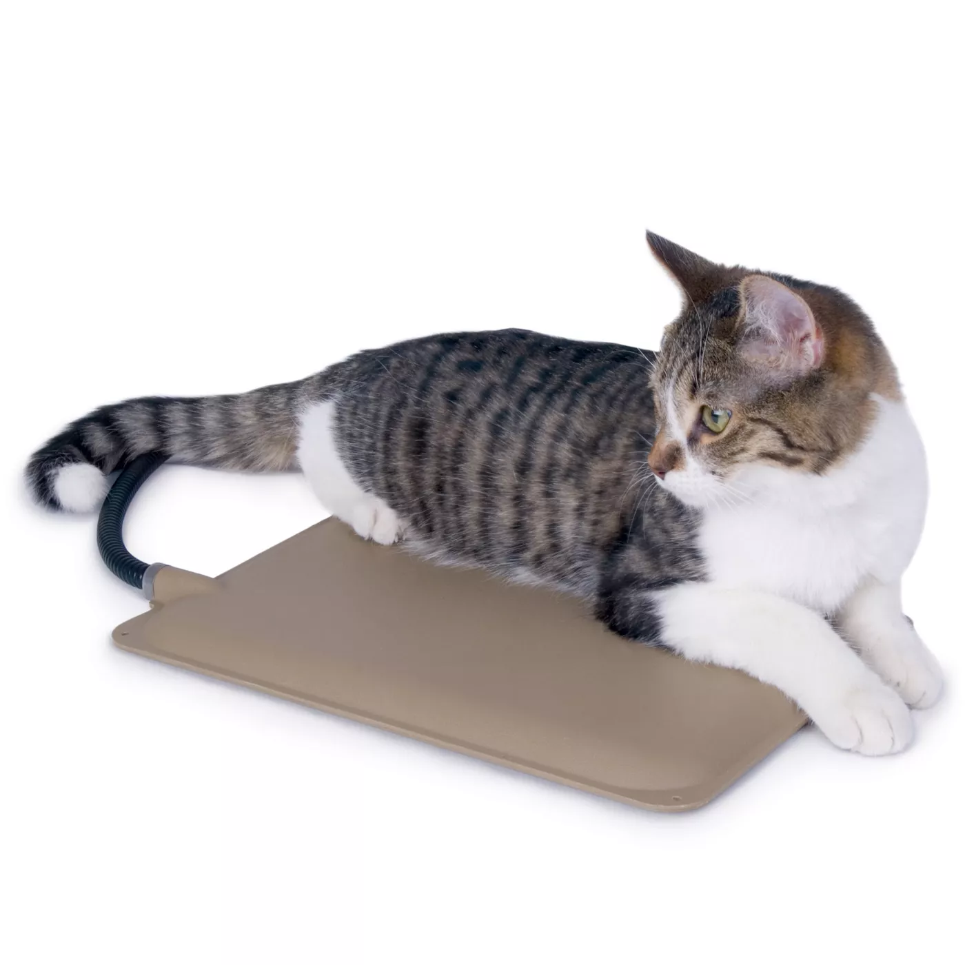 5355122 Cat Food