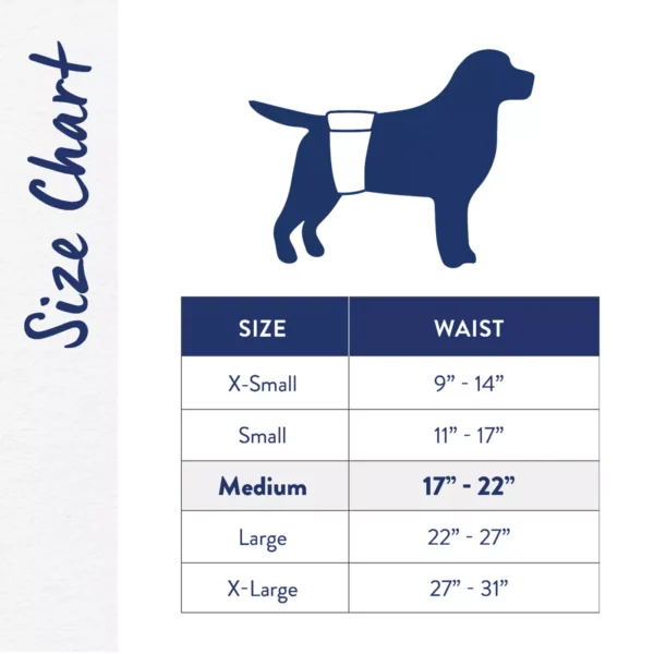 Top Paw® Disposable Male Wraps for Dogs, with Swift-Dry® Technology - Image 3