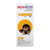 bravecto topical for dogs